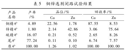 銅鋅閉路實驗結果